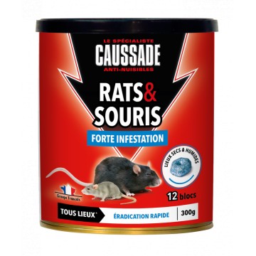 Rats et Souris - Blocs –...
