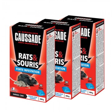 Blocs - Rats et Souris -...