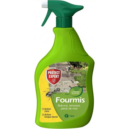 Fourmis- Sans Insecticide - Prêt-À-L'Emploi
