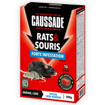 Blocs fluorescents - Rats...